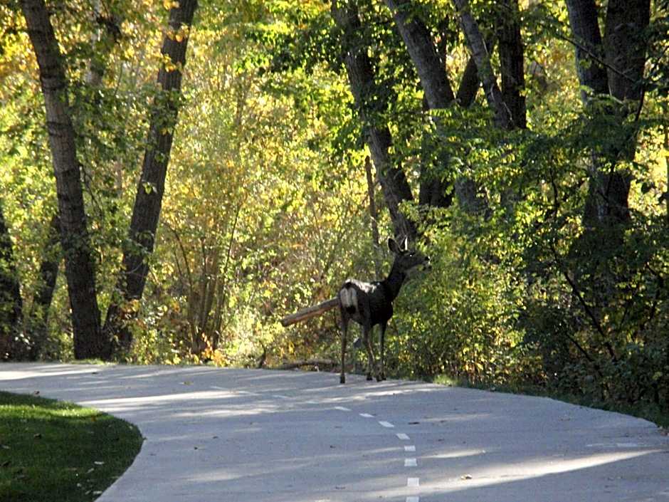 Holiday Inn Express & Suites Boise Airport By IHG