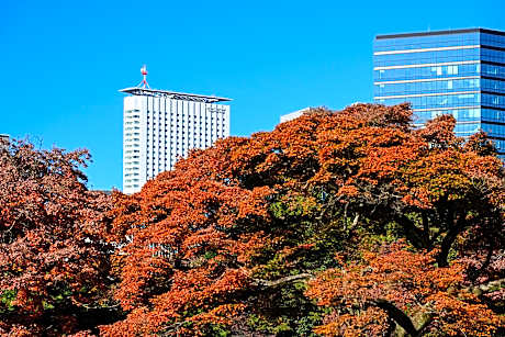 Odakyu Hotel Century Southern Tower