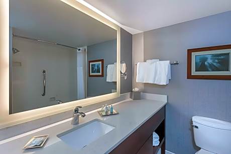 1 King Bed, Mobility Accessible Room, Roll-In Shower, Non-Smoking