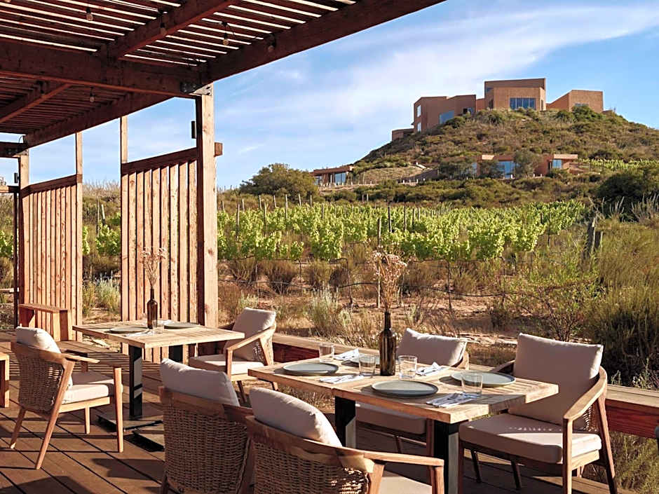 Banyan Tree Veya, Valle de Guadalupe