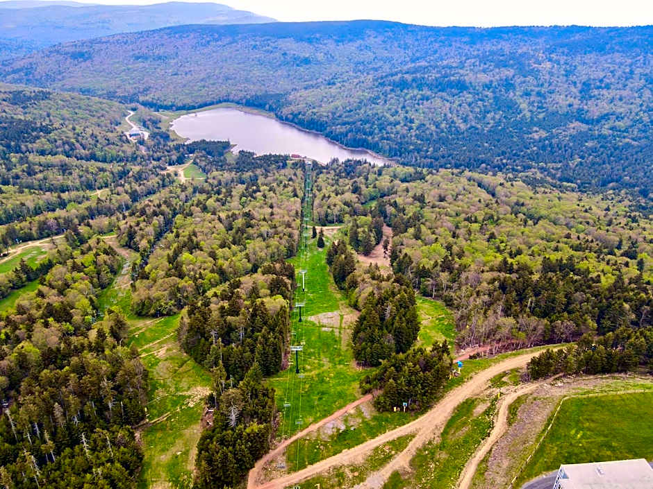 Remodeled Ski In-Out - 305 Soaring Eagle - Luxury!