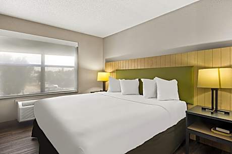 1 King Bed, Suite, Nonsmoking
