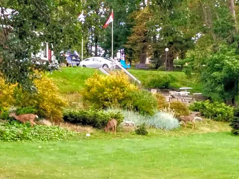 Braeside Country Inn