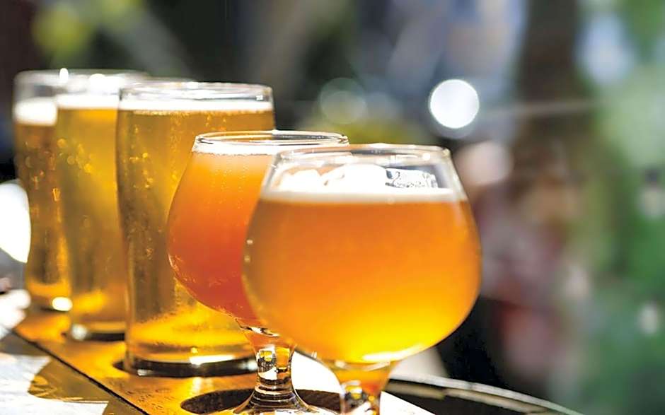 Hilton Norfolk The Main