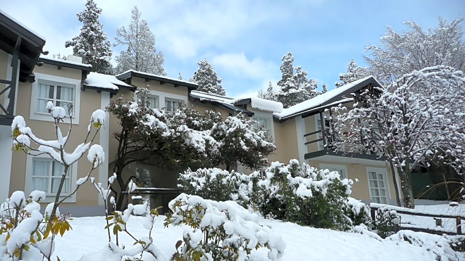 Aldea Andina Hotel&Spa