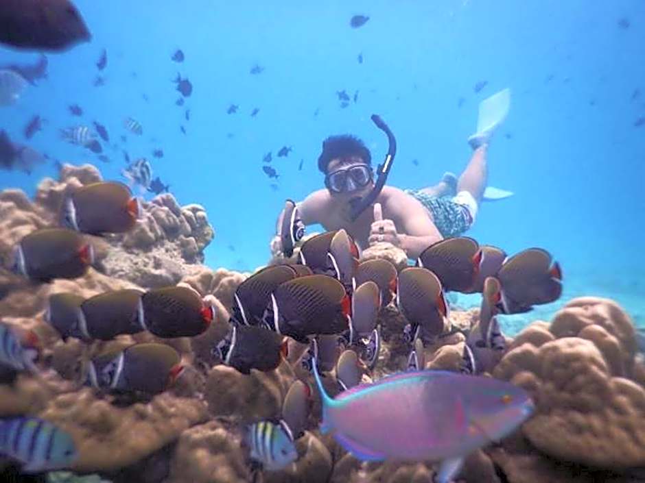 Freddies Santai Sumurtiga