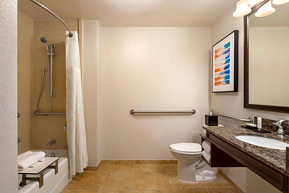 Embassy Suites by Hilton Orlando Lake Buena Vista South