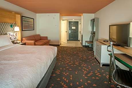 Standard King Room with Sofa Bed