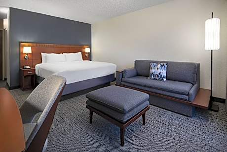Room, 1 King Bed with Sofa bed (1 King Bed and 1 Double Sofa Bed)