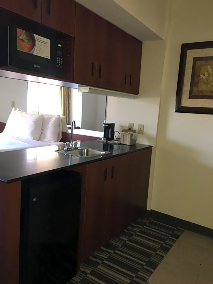Microtel Inn & Suites By Wyndham Indianapolis Airport