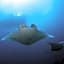 MEHEL - Holiday Home - Mahibadhoo