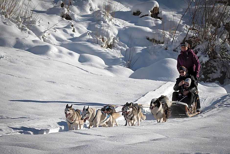 Hüttenhotel Husky Lodge