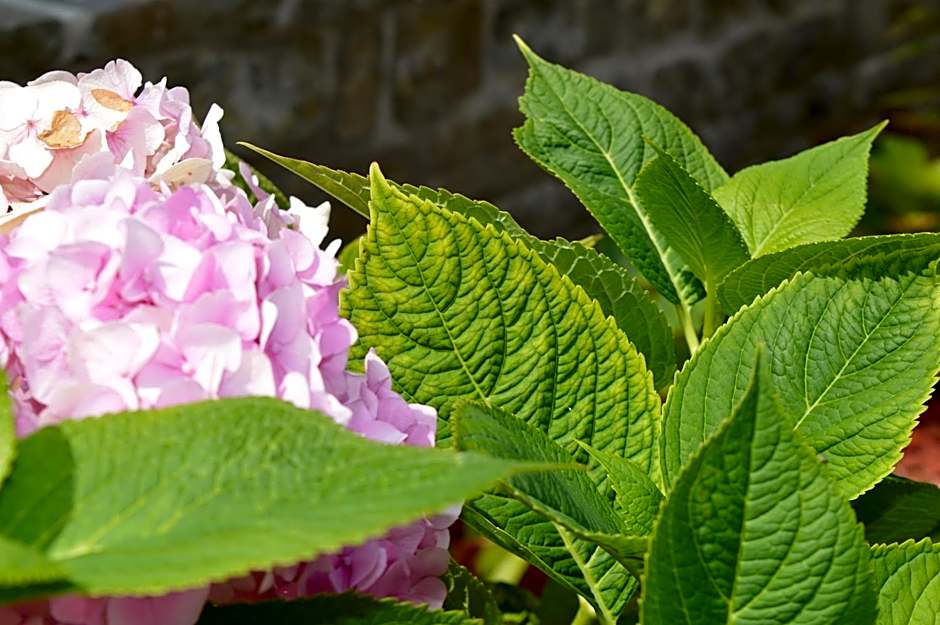 Hotel La Heid des Pairs