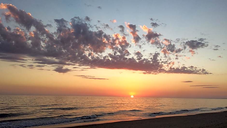 Hostel A Casa da Árvore