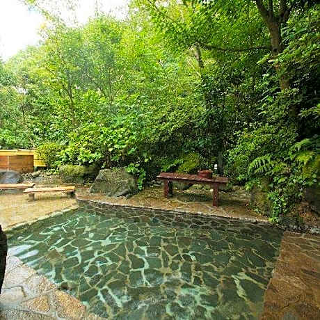 Atsugiiiyama Onsen Motoyu Ryokan