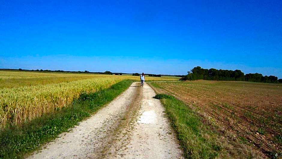 Le Clos de la Garenne Maison d'hôtes