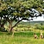 Makweti Safari Lodge