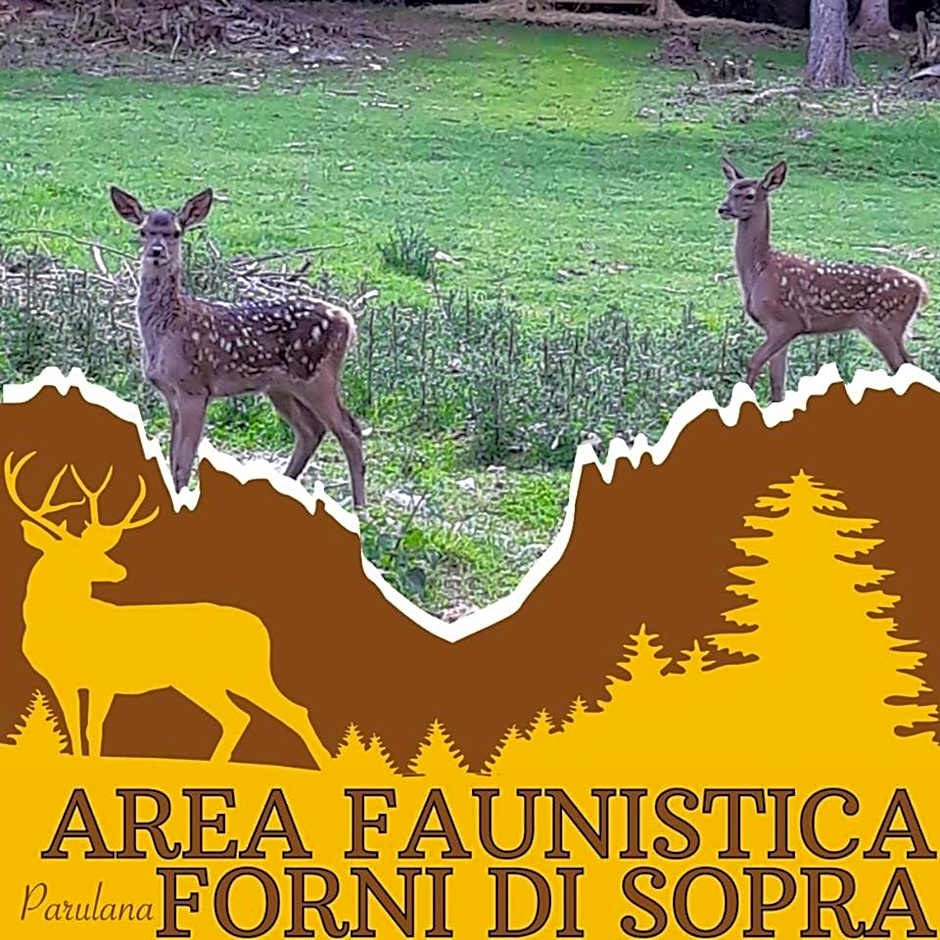 Albergo Meuble Tarandan