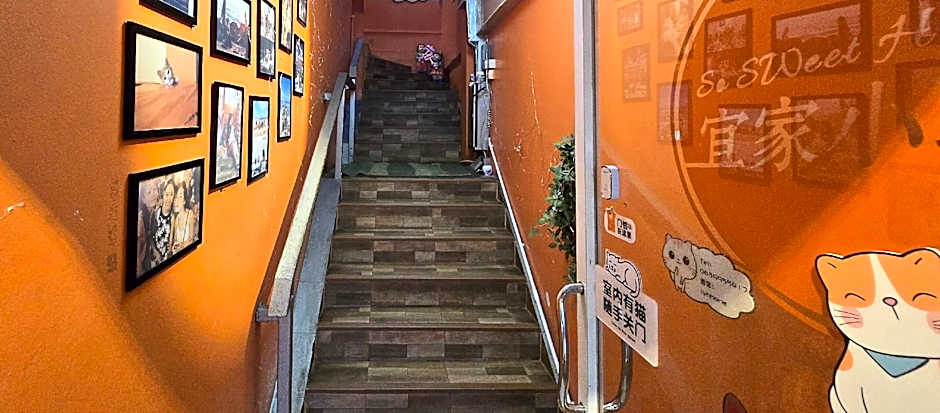 Phuket Sweet Cats Home 