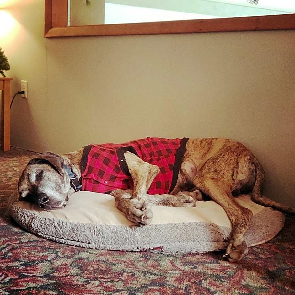 North Ironwood Acres - Black River Lodge