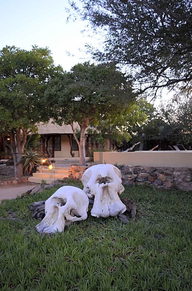 Kambaku Safari Lodge