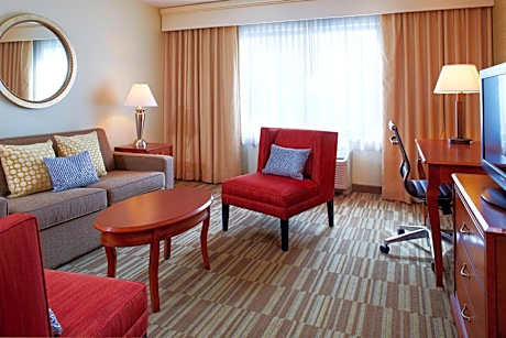 1 Bedroom Suite, 1 King, Sofa bed, Courtyard view, Balcony