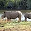 Morokolo Safari Lodge