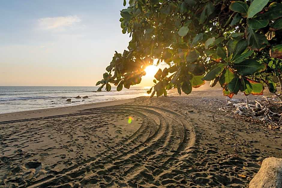 Hotel Terraza del Pacifico