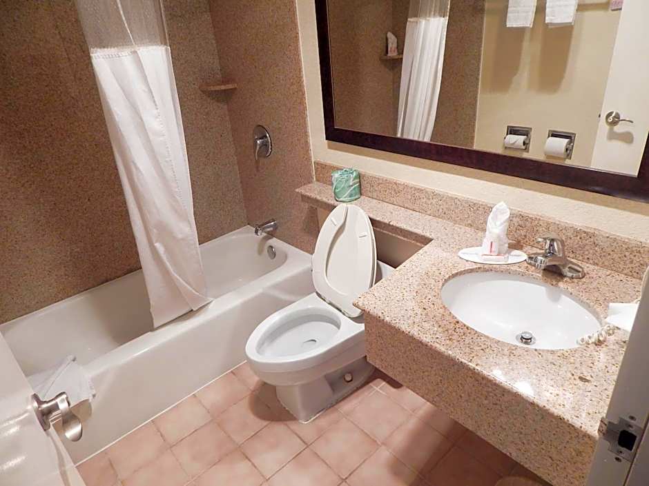 Howard Johnson by Wyndham Arlington Ballpark / Six Flags