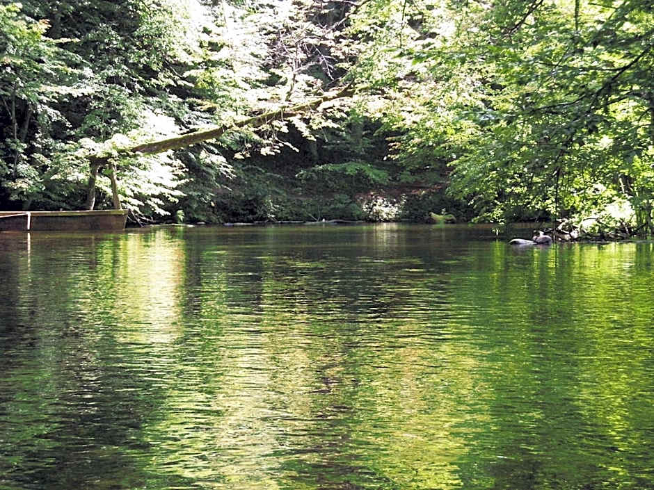 Mazurja