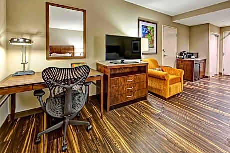 1 KING MOBILITY/HEARING ACCESSIBLE W/ BATHTUB