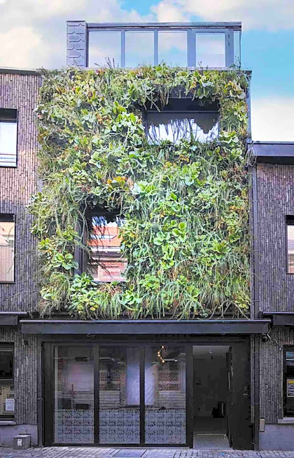 M-Street art lodging - Self check-in