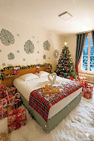 Hôtel du cirque Troyes centre historique