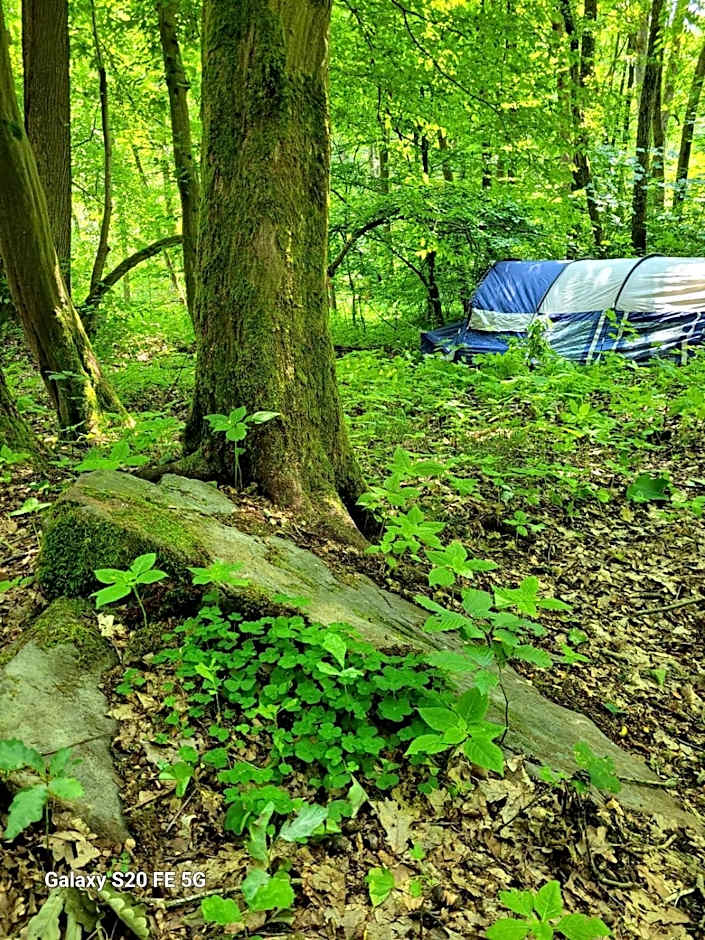 Waldhotel Pfarrmühle