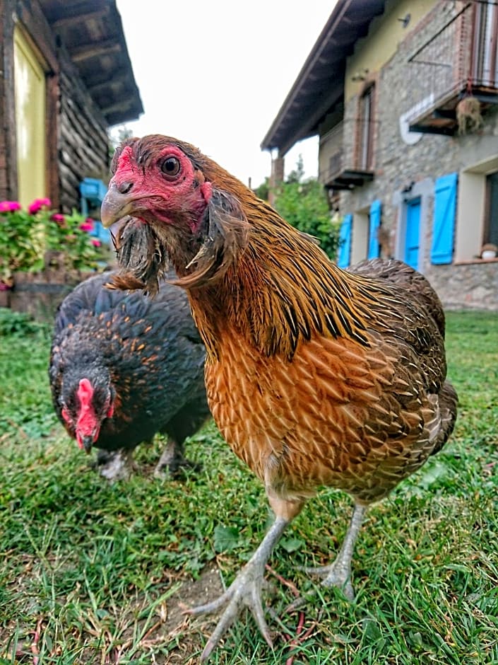 B&B La casa dei cuori