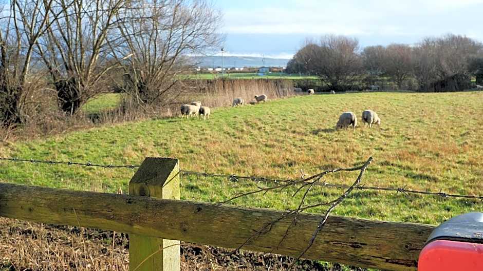 The Old Rectory - Brean