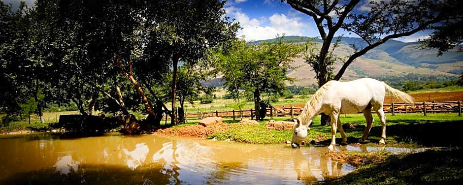 Caracal Lodge
