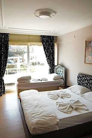 Double or Twin Room with Mountain View