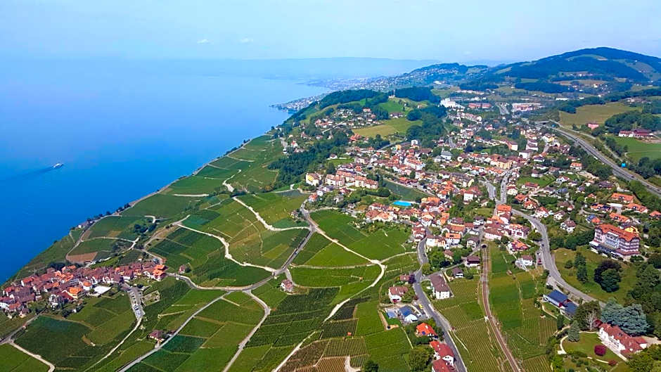Prealpina