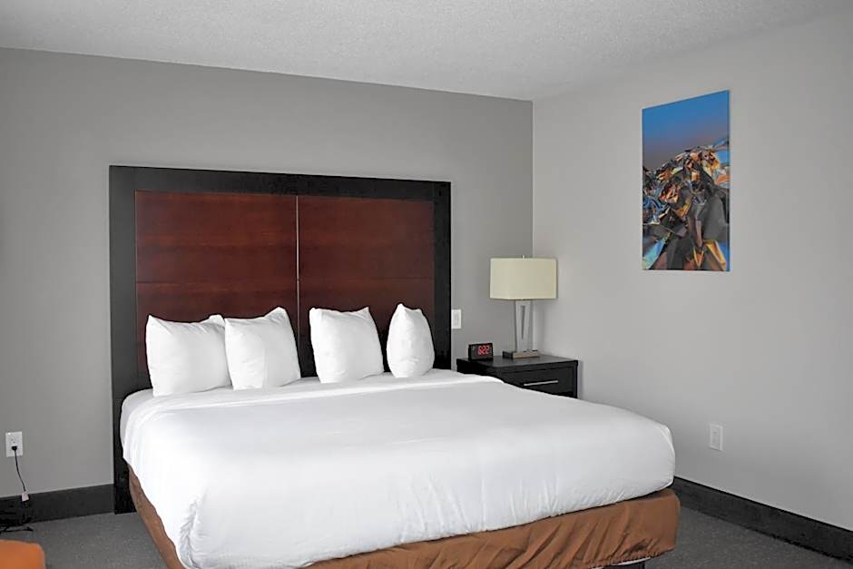 Wingate By Wyndham Atlanta Galleria Center