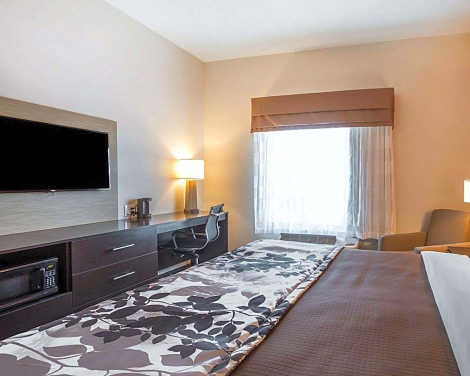 Sleep Inn Cartersville Emerson Lake Point