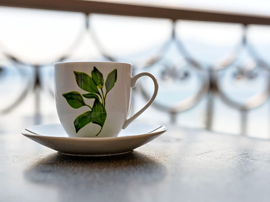 Apartment in Oggebbio with Sea View Terrace