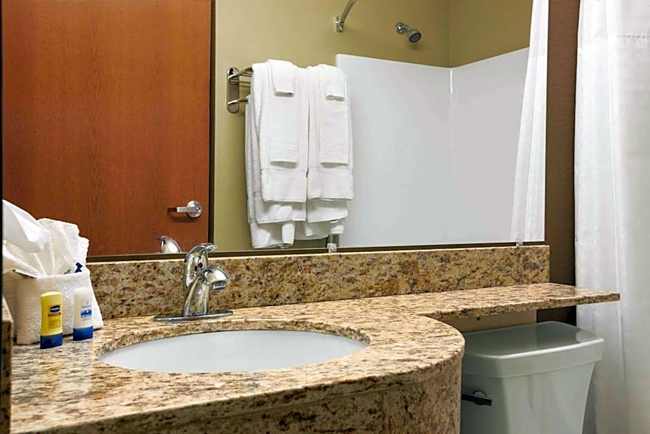 Microtel Inn & Suites By Wyndham Pleasanton