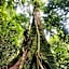 Asim Paris Guesthouse & jungle trekking
