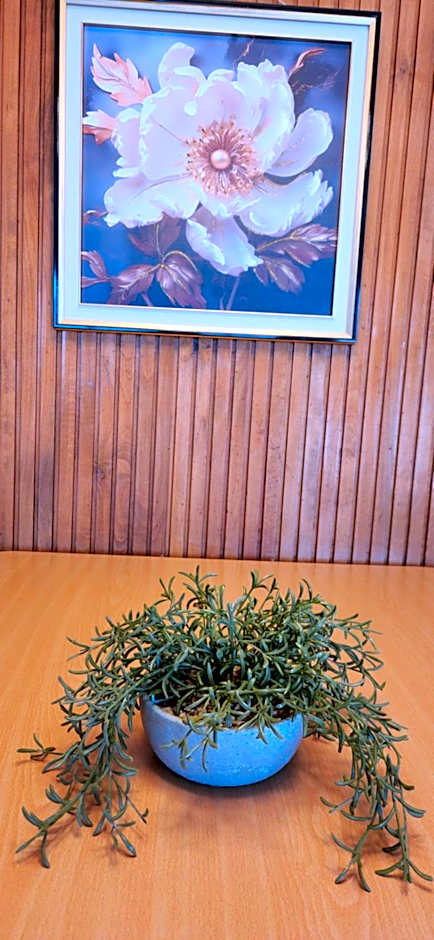 Aalton Motel