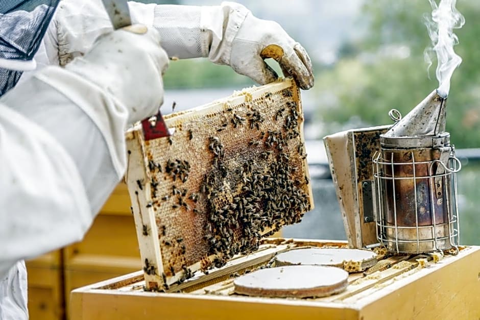 HAIDVOGL MAVIDA Zell am See