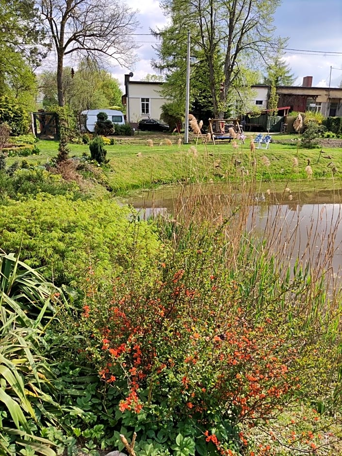 Bed & Breakfast - Warniłęg