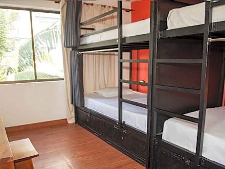 Bed in 4-Bed Mixed Dormitory Room
