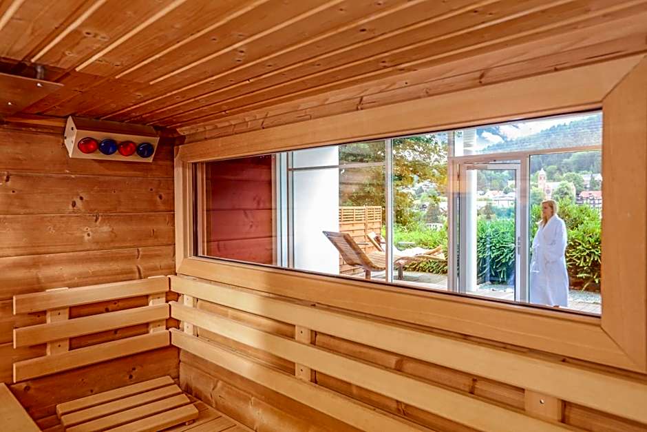 Schwarzwald Panorama