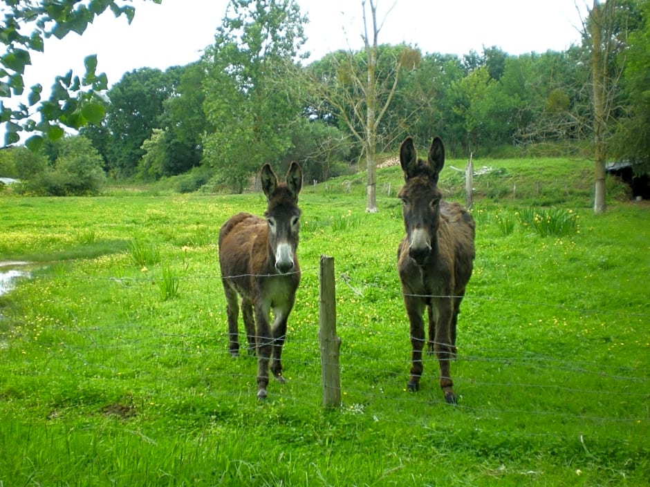 Chambres d'hôtes du Moulin de la Chaussee